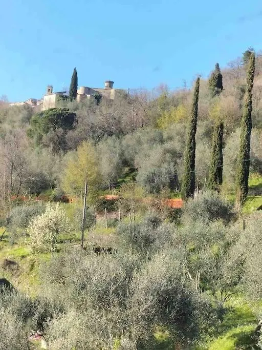 Podere Bassi Villa Licciana Nardi 0*,