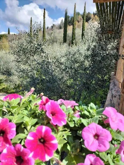 Podere Bassi Villa Licciana Nardi